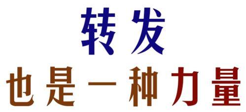 新闻爆料搞笑图文,搞笑图文引网友热议
