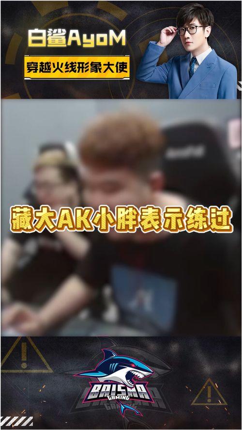 听b哥爆料白鲨视频,揭秘背后故事与精彩瞬间 第3张 听b哥爆料白鲨视频,揭秘背后故事与精彩瞬间 第3张